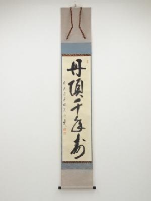 前大徳矢野海渕筆　「丹頂千年寿」一行書　肉筆紙本掛軸（共箱）